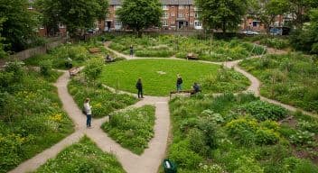 Green Spaces Initiative